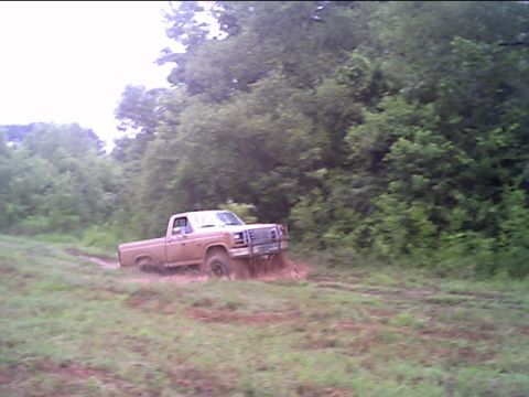 1983 Ford F-150 photo