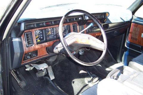 1983 Ford Bronco photo