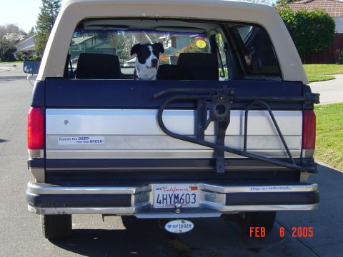 1988 Ford Bronco photo