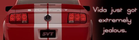 2000 Ford Mustang photo