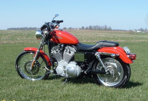 2002 Harley-Davidson Sportster Custom