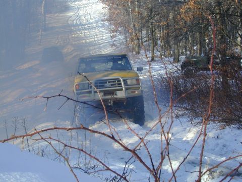1979 Ford F-150 photo