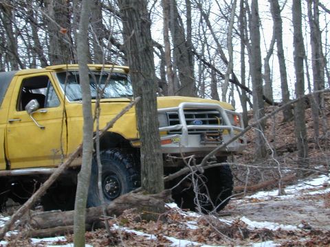 1979 Ford F-150 photo