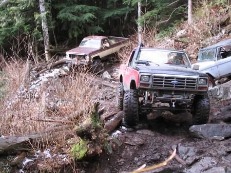 1983 Ford Bronco photo