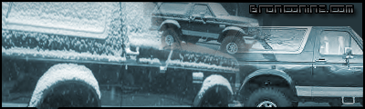 1989 Ford Bronco photo