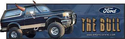 1989 Ford Bronco photo