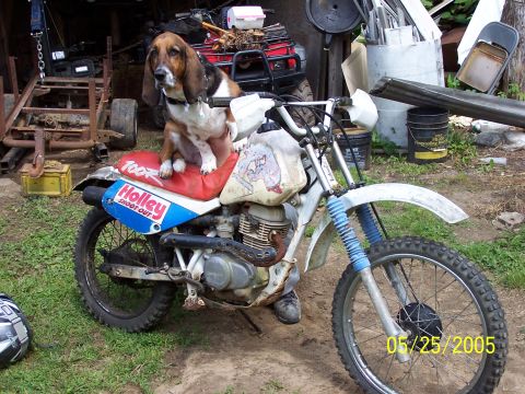 1993 Honda XR100R photo