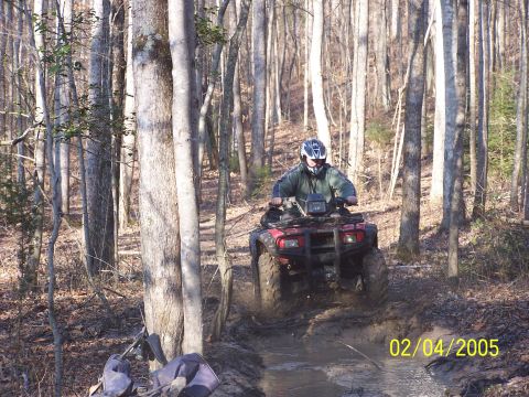 2003 Honda RUBICON photo