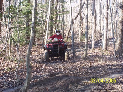 2003 Honda RUBICON photo