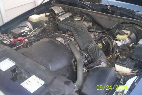 1994 Ford Crown Victoria photo