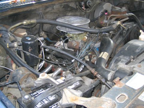 1982 Ford Bronco photo