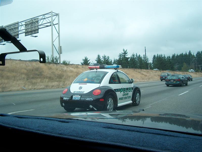 2001 Ford Crown Victoria in 2005