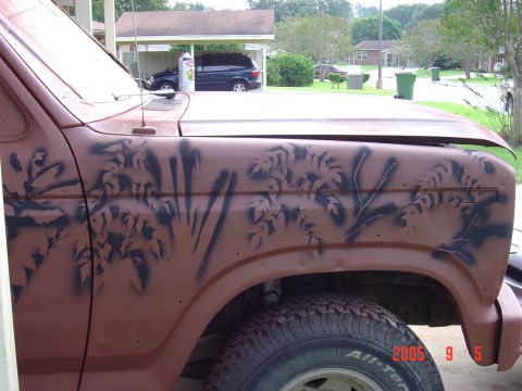 1982 Ford Bronco photo