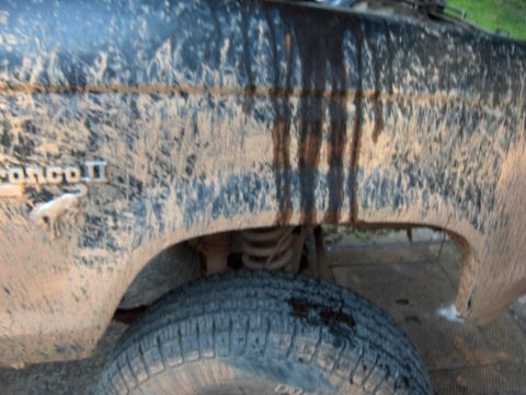 1985 Ford Bronco II photo