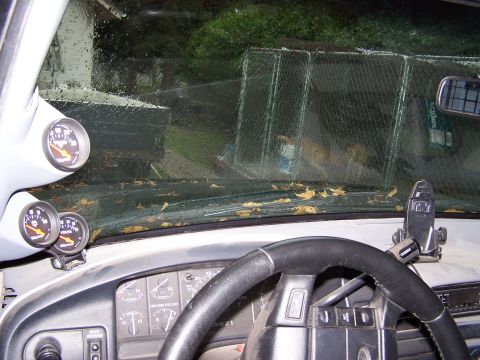 1996 Ford Bronco photo