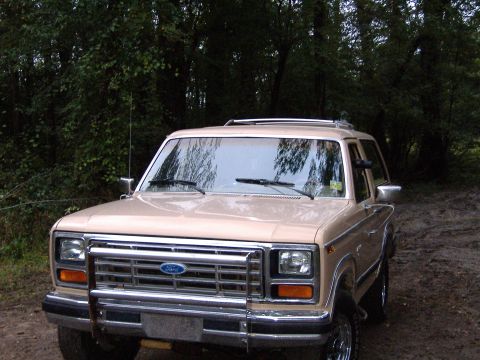 1984 Ford Bronco photo