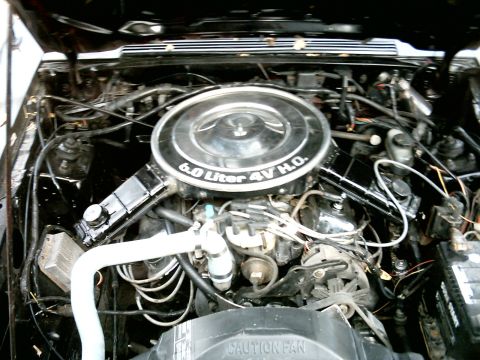 1989 Ford Mustang photo