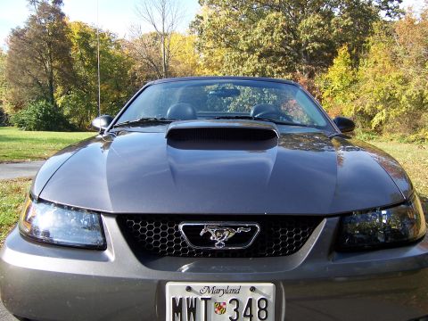 2004 Ford Mustang photo