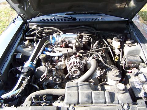 2004 Ford Mustang photo