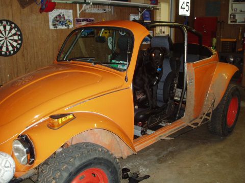 1974 Volkswagen Beetle photo