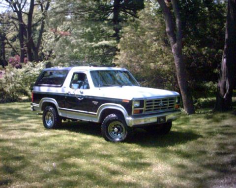 1982 Ford Bronco photo