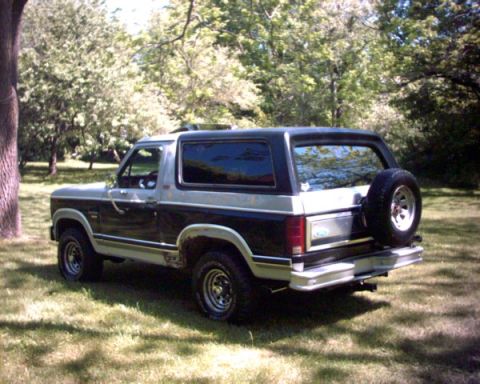 1982 Ford Bronco photo