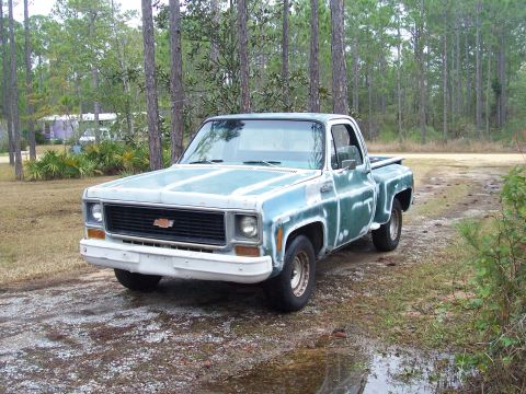 1974 Chevrolet C/K Pickup “the turd”