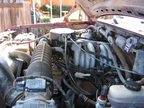 1996 Ford Bronco photo