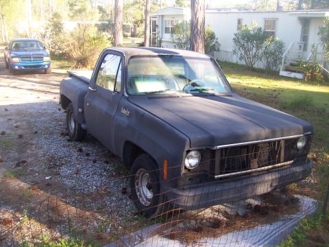 1974 Chevrolet C/K Pickup photo