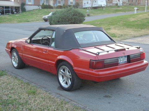 1986 Ford Mustang photo