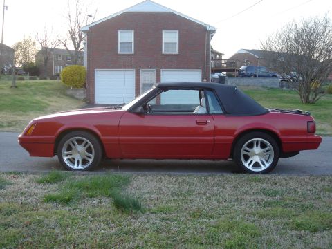 1986 Ford Mustang photo
