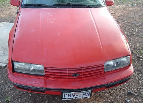1991 Chevrolet Beretta photo