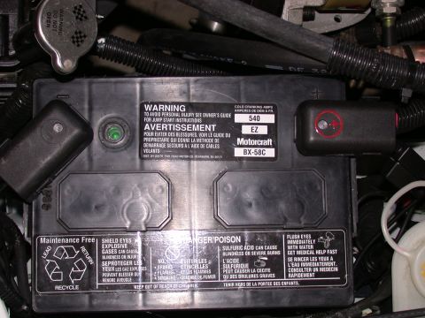 1995 Ford Mustang photo