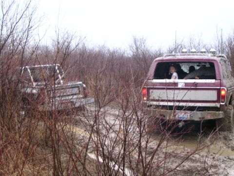 1978 Ford Bronco photo