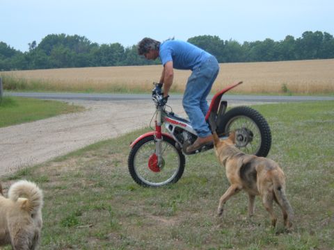 1984 Yamaha YZ490 photo