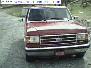 1989 Ford F-150 photo