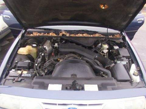 1995 Ford Crown Victoria “Car RamRod”