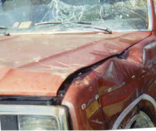 1984 Ford F-150 photo