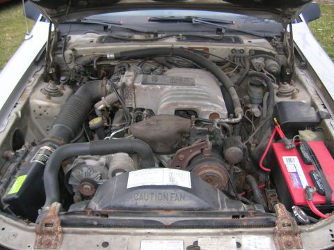 1988 Ford Thunderbird photo