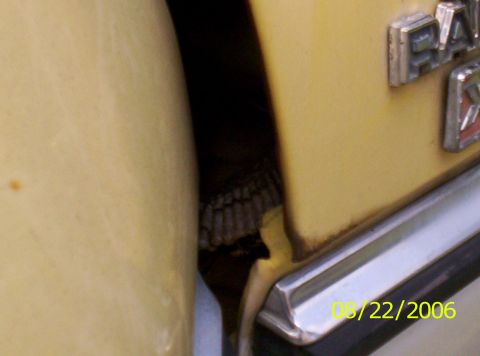 1978 Ford F-150 photo