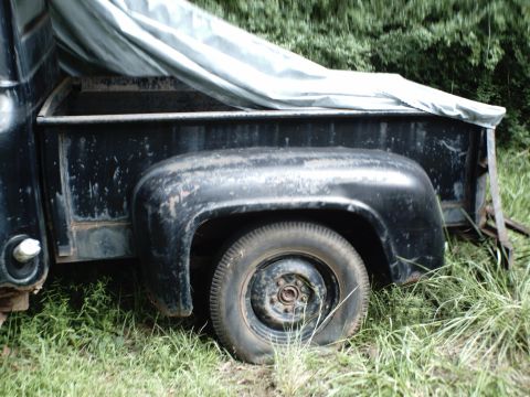 1955 Ford F-100 “american beauty”