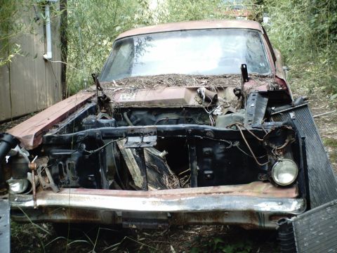 1967 Ford Ranchero photo