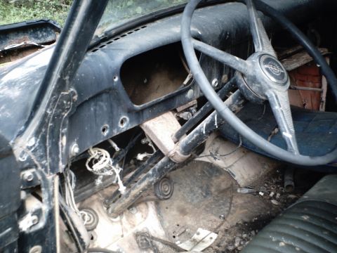 1955 Ford F-100 photo