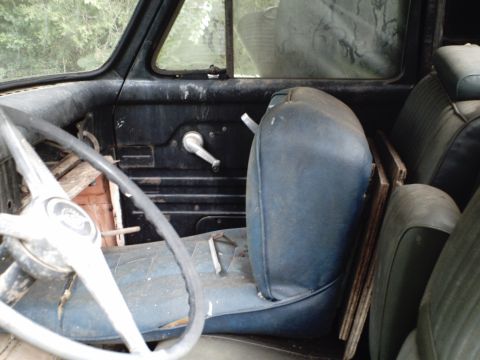 1955 Ford F-100 photo