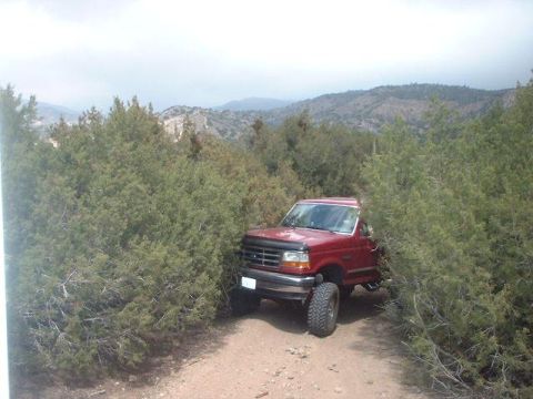 1994 Ford Bronco photo