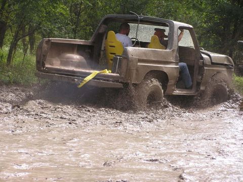 1979 Ford Bronco photo