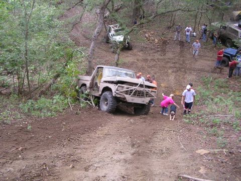 1979 Ford Bronco photo