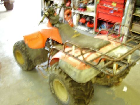 1985 Suzuki QUADRUNNER 250/LT250 photo