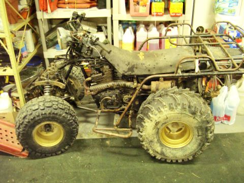 1985 Suzuki QUADRUNNER 250/LT250 photo