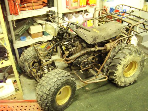 1985 Suzuki QUADRUNNER 250/LT250 photo